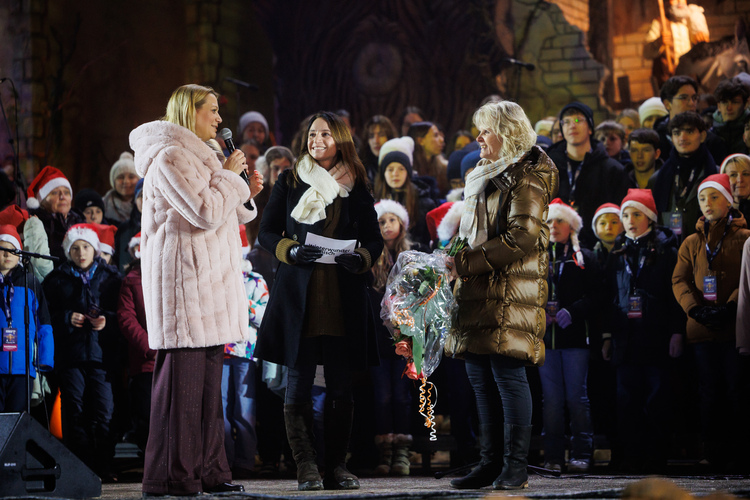 Fotoimpressionen vom Winterwunder Mörbisch.