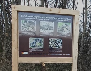 Reptilien Informationstafeln