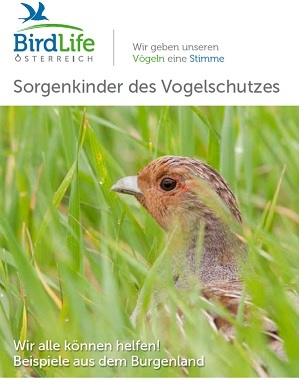 Vogelschutz_birdlife