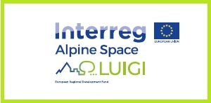 luigi