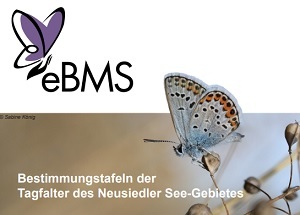 ebms Bestimmungstafeln Tagfalter