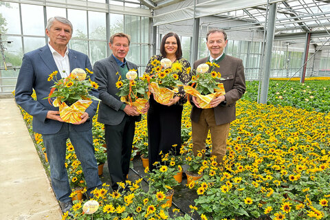 Bürgermeister Vinzenz Knor, der Obmann des Vereins "Die Gärtner Burgenlands" Andreas Pomper gemeinsam mit LK-Präsident Nikolaus Berlakovich und LH-Stv. Astrid Eisenkopf bei der Präsentation der "Blume des Jahres 2024", einer Sonnenblume.