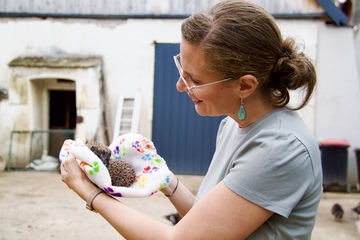 Nachtruhe Mähroboter