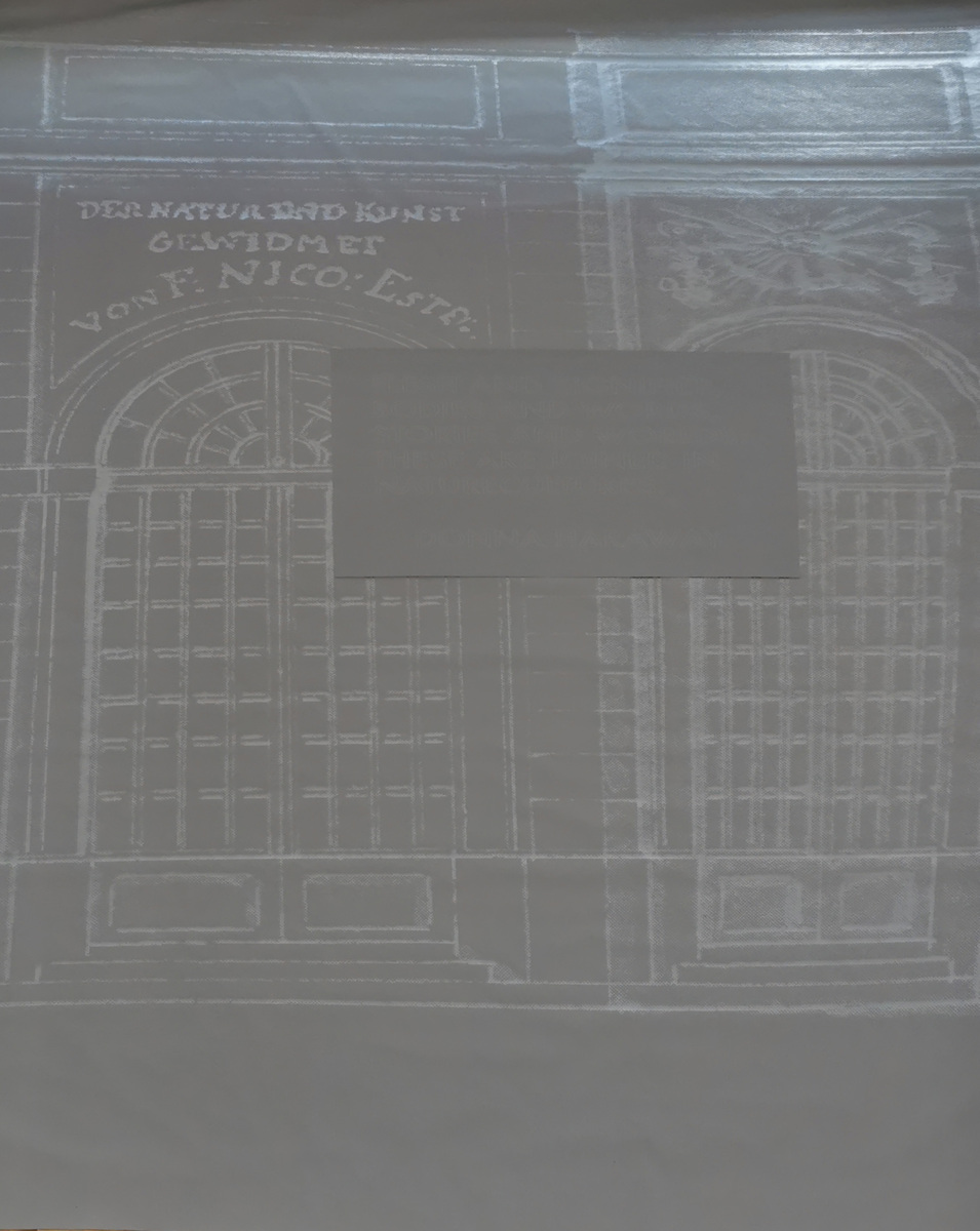 Ralo Mayer, Den Nature-Cultures gewidmet, 2019; LED-Druck auf reflektierendem Stoff; 230x140cm