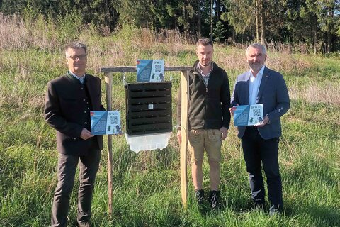 Landesrat Heinrich Dorner mit Gerald Thurner, Referatsleiter Landesforstinspektion (ganz links), und Klaus Unterberger, Forstschutzreferent Landesforstinspektion, bei einem der Standorte für das Borkenkäfermonitoring in Mannersdorf an der Rabnitz.
