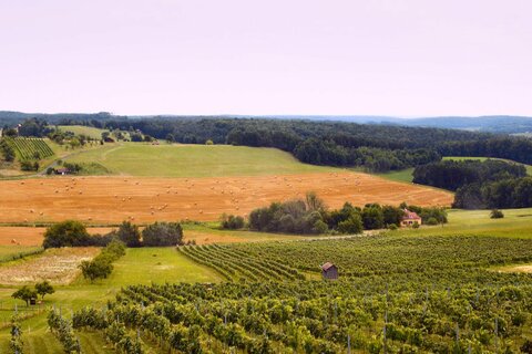 eGen Boigenossenschaft