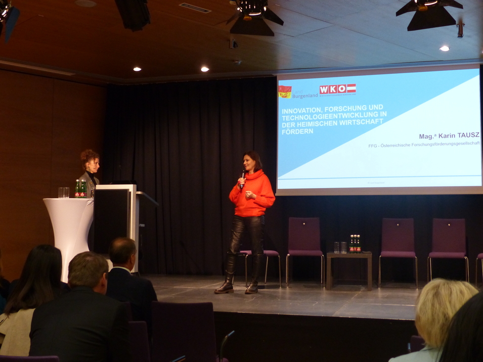 Interview „Innovationen, Forschung und Technologieentwicklung in der heimischen Wirtschaft fördern“ mit Mag. Karin TAUSZ, FFG - Österreichische Forschungsförderungsgesellschaft