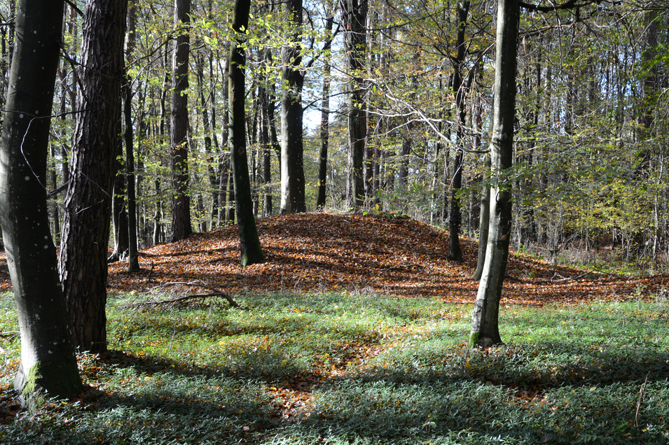 Foto: W. Tögel Einer der 72 Grabhügel in Rax