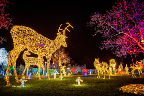 Winterwunder Mörbisch