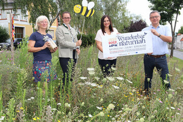 Startschuss für Projekt „BeeFit“ in burgenländischen Gemeinden. V.l.: Brigitte Gerger, GFin Verein Wieseninitiative, Marlene Hrabanek-Bunyai, GFin des Vereins UNSER DORF, LH Stv.in Astrid Eisenkopf, Obfrau des Vereins UNSER DORF, Helmut Hareter, Bgm. Breitenbrunn