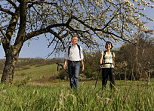 Nordic Walking Nordic Walking Copyright Steve Haider