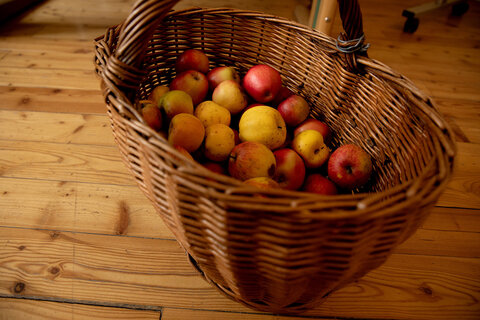 Apfelkorb mit verschiedenen Sorten in Weingraben.