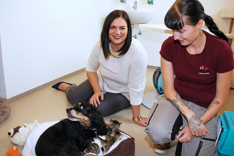 Präsentierten im Tierschutzhaus Sonnenhof das Projekt „Heimtiernotdienst“: Dr.in Yvonne Millard, Designierte Veterinärdirektorin, Mag. Thomas Neudecker, Präsident Tierärztekammer Burgenland, Tierschutzlandesrätin Mag.a Astrid Eisenkopf, Veterinärdirektor Dr. Robert Fink und Mag. Wolfgang Böck, Geschäftsführer Tierschutzhaus Sonnenhof.