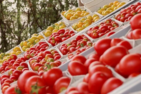 Erntezeit Landwirtschaftliche Fachschule