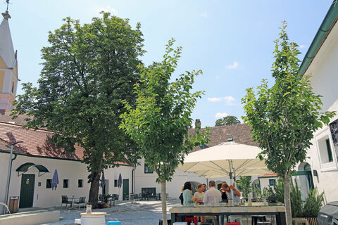 Landeshauptmannstellvertreterin Eisenkopf in Pöttsching im maierhof
