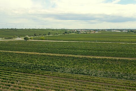 Klinik Gols - Gesundheit Burgenland erwirbt neue Grundstücke
