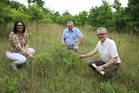 Pflegeplan für wertvolle Naturflächen in Winden