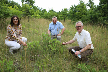 Pflegeplan für wertvolle Naturflächen in Winden