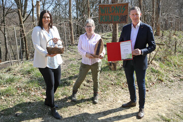 Landeshauptmann-Stellvertreterin Astrid Eisenkopf zeichnet Judith Anger mit dem Bio-Innovationspreis des Landes Burgenland aus. V.l.: LH-Stv.in Astrid Eisenkopf, Judith Anger, LT-Abg. Ewald Schnecker