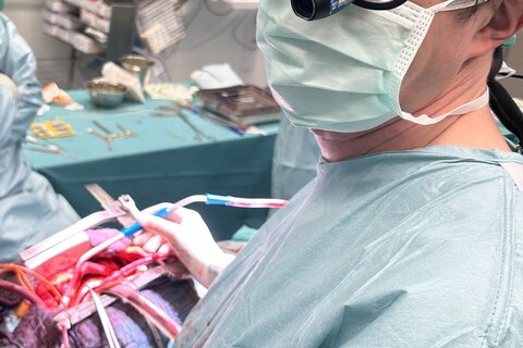 Primarius Dr. Wolfgang Dietl führte die erste Herz-OP im Burgenland erfolgreich durch. © Gesundheit Burgenland