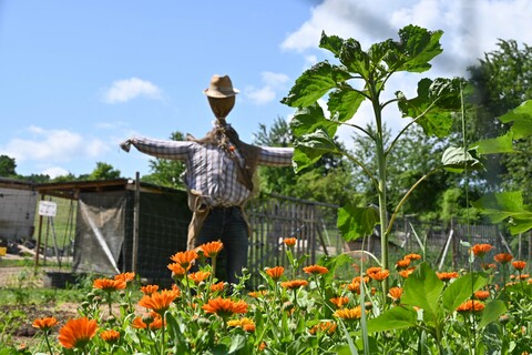Komar - Vielfalt – Farm, Loretto @Elisabeth Wuketich