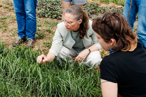 Besuch der Versuchsflächen des EU-Projekts LIFE Pannonic Salt in St. Andrä