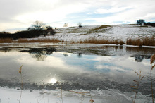 Rohrbacher Teichwiesen