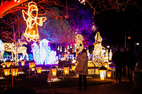 Winterwunder Mörbisch