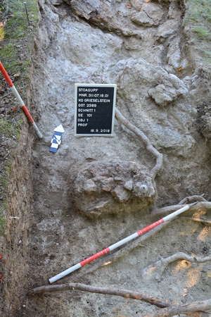 © BDA / Foto: N. Franz Ofenreste auf dem Gipfelplateau des Stoagupfs, Foto: N. Franz