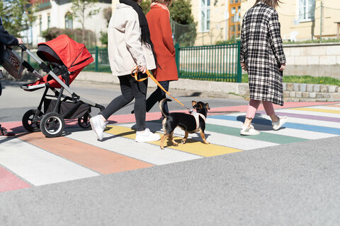 Das Interreg Europe Projekt Step up der Mobilitätszentrale bringt auch die internationale Perspektive des Fußverkehrs ins Burgenland