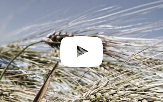 Natur & Agrar Natur & Agrar