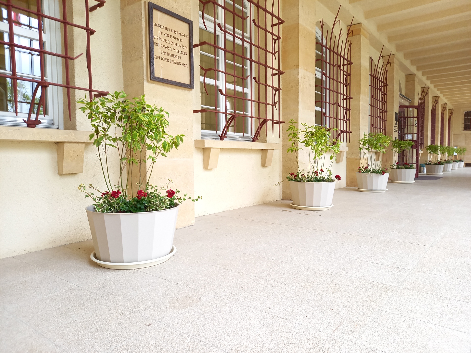 Blumen vor dem Landhaus