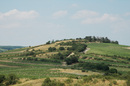 Jungerberg