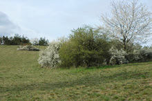 Galgenberg Rechnitz