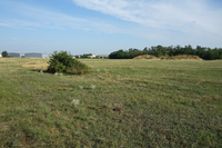 Parndorfer Heide c Andreas Ranner