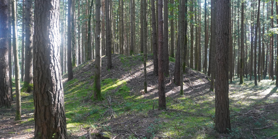 Hügelgrab Grafenschachen