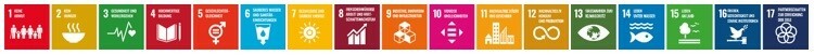 SDG Icon-Reihe