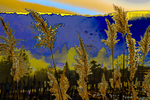 Serie „Malen mit der Kamera“