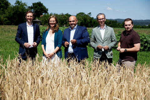 Dr. Mario Winkler, Landeshauptmann-Stellvertreterin Anja Haider-Wallner, Hannes Mosonyi, Markus Fritz und Martin Pinczker (v.l.) hinter einem Getreidefeld des Bio-Landgutes Esterhazy in Donnerskirchen.
