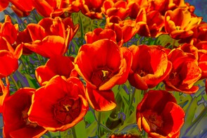 Serie „Malen mit der Kamera“