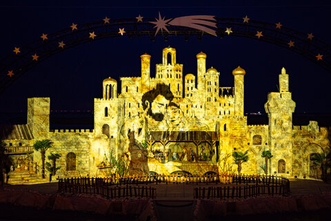 Winterwunder Mörbisch