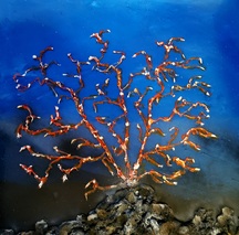 Save Coral Reefs II