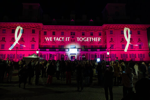 Zum Abschluss des Benefizabends erstrahlte Schloss Esterhazy in rosafarbenem Licht zum Zeichen des Internationalen Brustkrebsmonats Oktober.