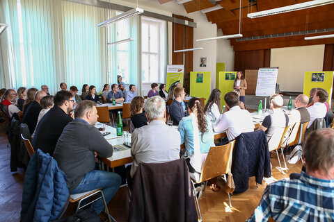 Es herrschte reges Interesse beim Stakeholderinnen- und Stakeholder-Workshop in Eisenstadt.