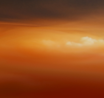 Zeitgenössische Darstellende Kunst, Foto: Ralo Mayer