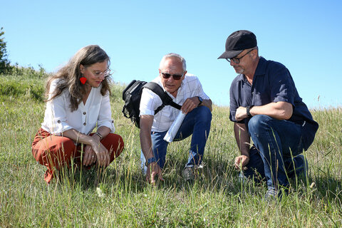Landeshauptmann-Stellvertreterin Anja Haider-Wallner mit Gottfried Reisner, Geschäftsführer des Vereins BERTA, und Kurt Grafl, Gebietsbetreuer im Verein BERTA in der Siegendorfer Pußta.