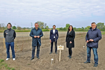 Landesforstgarten Weiden