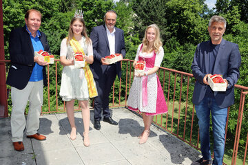 Süße Grüße aus Wiesen für den Landeshauptmann. V.l. Bgm. Matthias Weghofer, Österreichische Erdbeerkönigin Nathalie I., LH Hans Peter Doskozil, Erdbeerprinzessin Antonia, Vize-Bgm. Josef Habeler