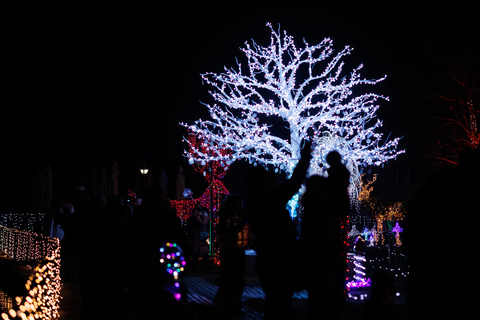 Winterwunder Mörbisch