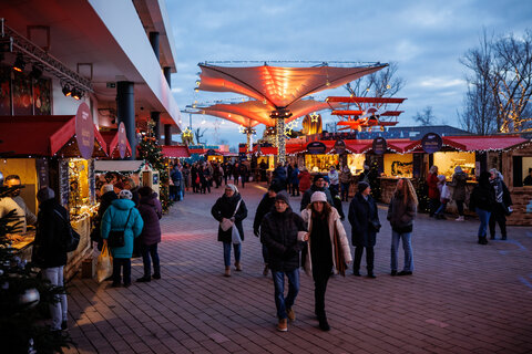 Winterwunder Mörbisch